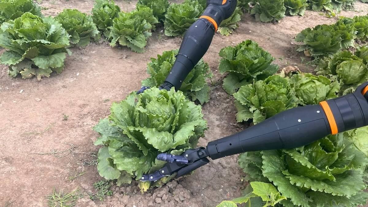 Davegi di AI.Land è un sistema agricolo automatizzato e completo per l'orticoltura da pieno campo